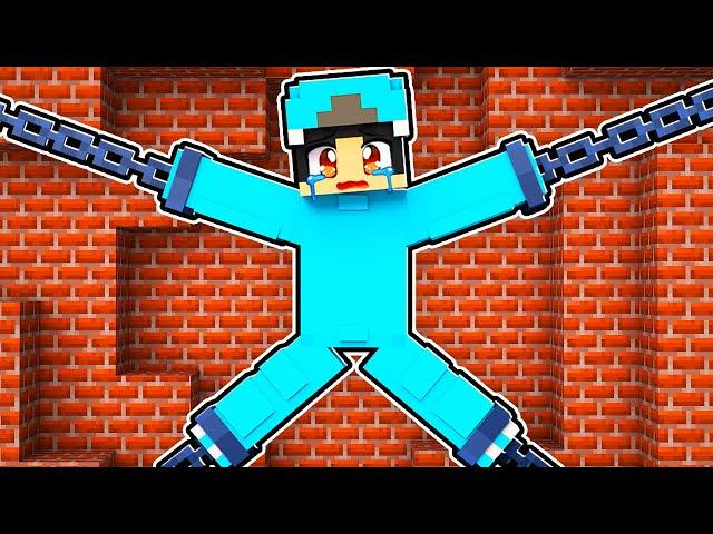 Locking Friends in a 24 HOUR PRISON in Minecraft!