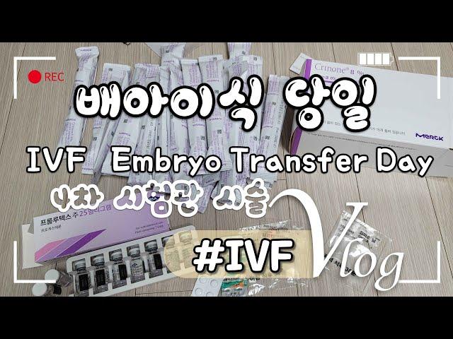 IVF Embryo Transfer Day  v-log
