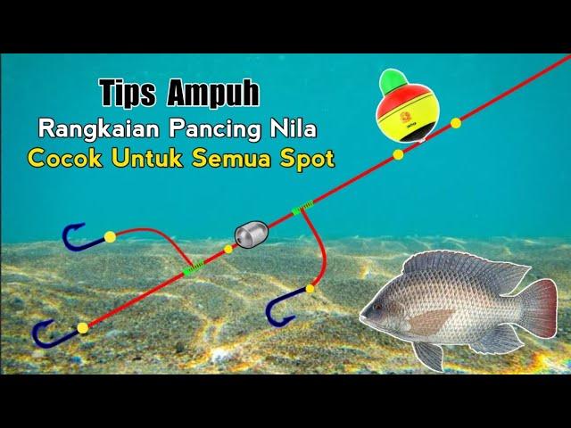 Tips Jitu! Membuat Rangkaian Pancing Ikan Nila 3 Kail