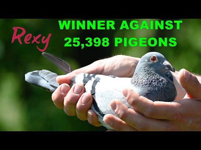 FIRST 2 WINNERS AGAINST 23,938 PIGEONS