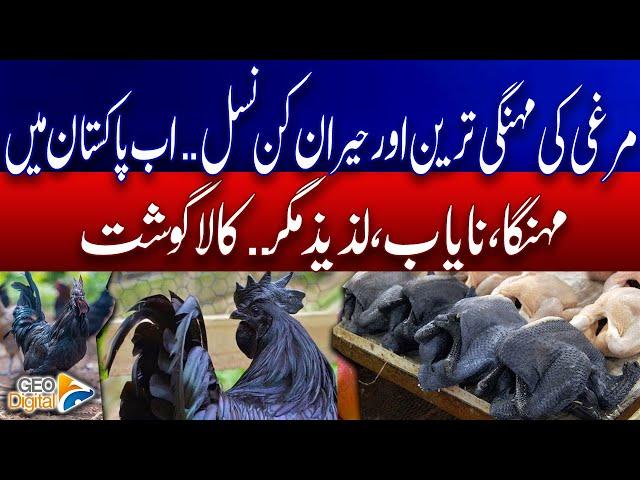 Ayam Cemani: A rare breed of chicken is now in Pakistan | Geo Digital