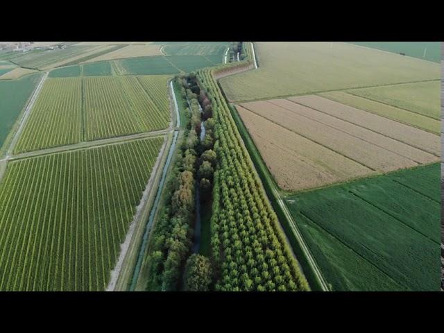 Agriculture Land Drone view - Free stock Footage - No copyright