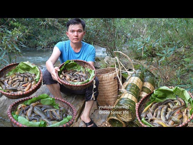 Weaving baskets to trap fish a lucky day. Robert | Green forest life