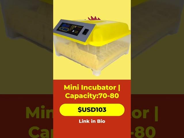 Efficient Mini Incubator for Successful Egg Hatching