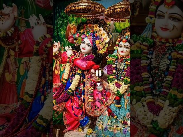 मेरा तो कुछ भी नहीRadhe Radhe#bhakti#songs#bhakti sagar rus#god#shree krishana#vindravan#bake bihari