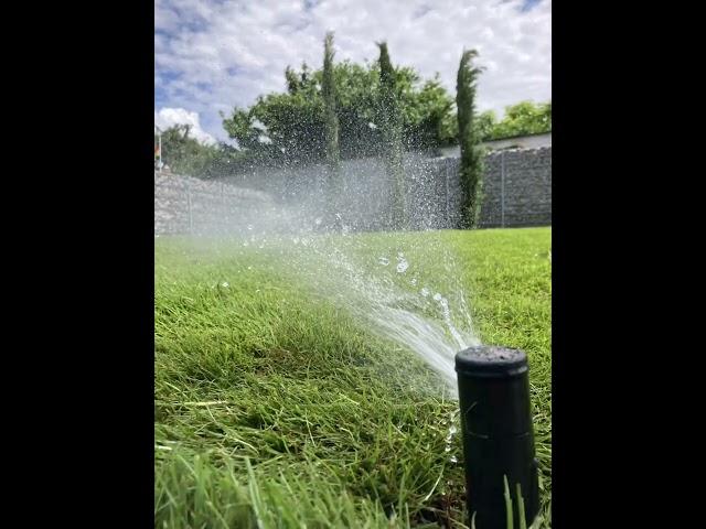 Außenanlage Gewerbeobjekt - Kurrle Gartenservice