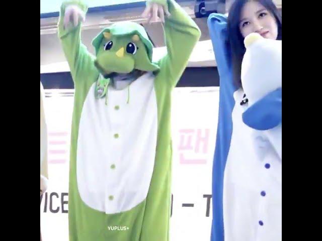 Big scary Dinosaur attacks Penguin (Mina & Jeongyeon)