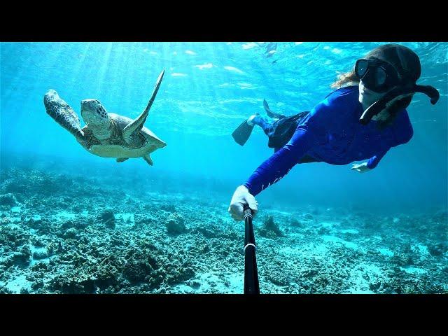 Dream Come True | Freediving Zamami (Okinawa)