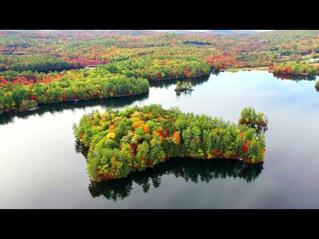 watch the beautiful nature video