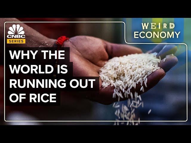Why Rice Markets Are In Crisis Mode