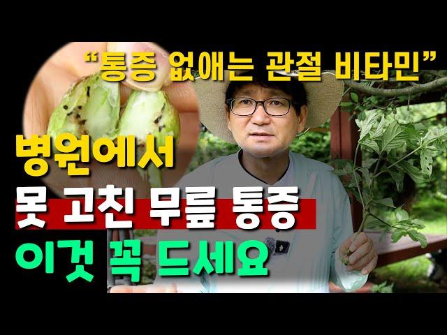 병원에서 못 고친 무릎 통증 이것 꼭 드세요