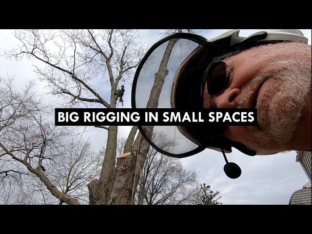 HUGE Silver Maple Tree Removal with a Lot of Rigging