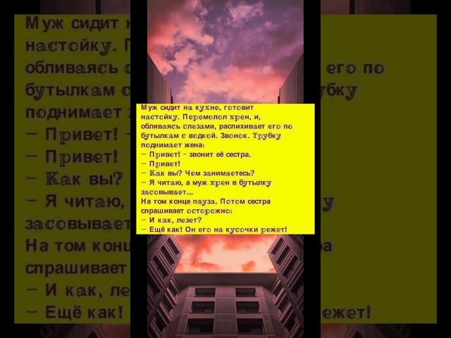 анекдот #анекдоты #юмор #позитив #приколы #шутки #shortvideo