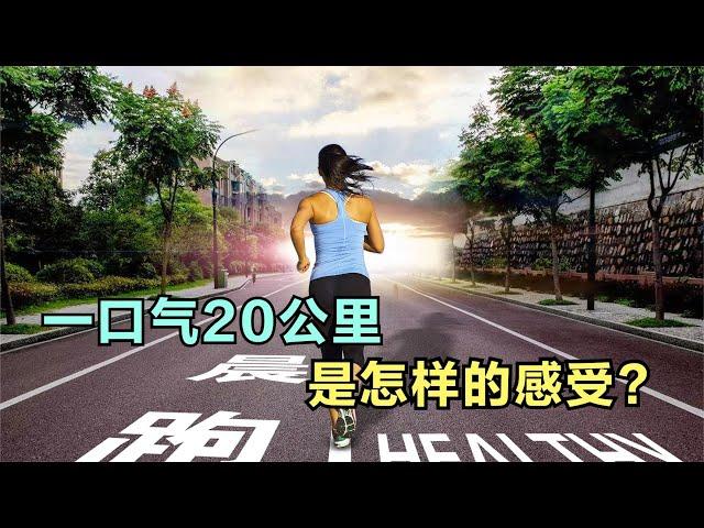 一口气晨跑20公里，是怎样的感受？第1次挑战20公里成功，爽！【码不亭蹄】