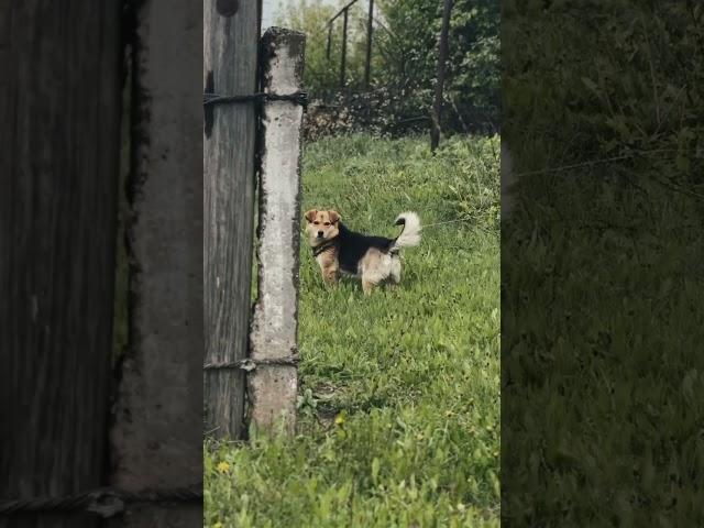 В магазин за хлебушком #фотография #мояроссия #деревня