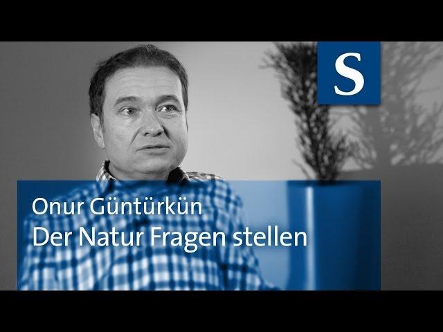 Onur Güntürkün: Der Natur Fragen stellen