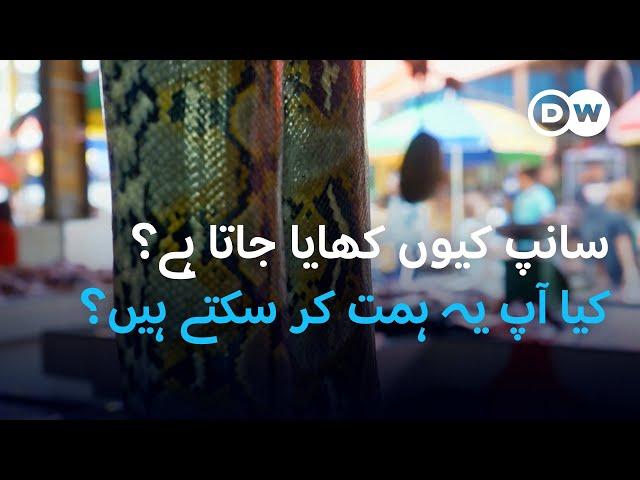 یہ لوگ سانپ کا گوشت کیوں کھاتے ہیں؟ | DW Urdu |