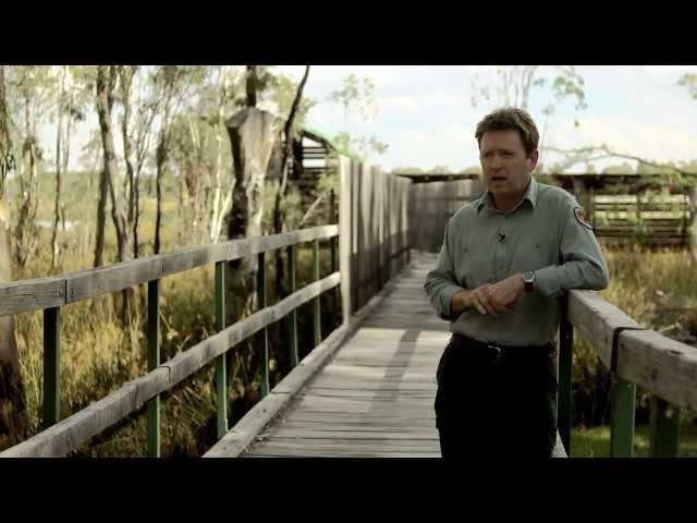 Murray-Darling Basin Authority: Barmah--Millewa Forest Icon Site