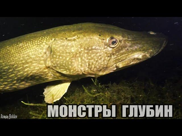 Рыбалка САМЫЕ БОЛЬШИЕ, ГИГАНТСКИЕ ЩУКИ НАВОДЯТ УЖАС ПОД ВОДОЙ! Подводная съемка крупным планом