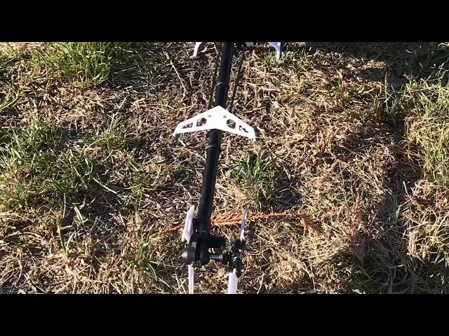 Horizon hobby 330x blade helicopter maiden flight.