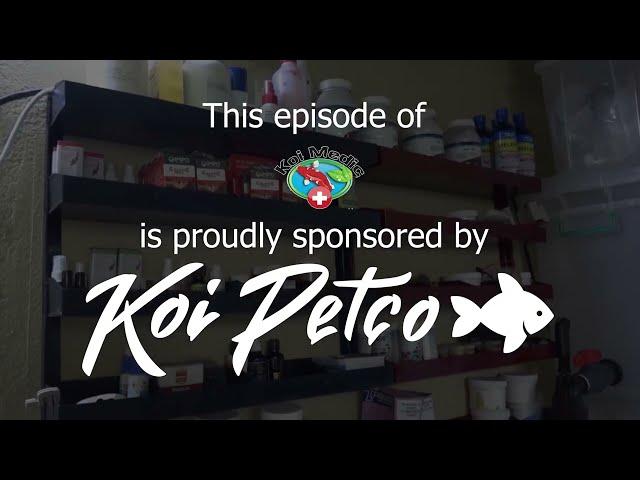 Marine, Tropical and Koi fish medication range by KoiPetCo - Koi Medic explains S2E5