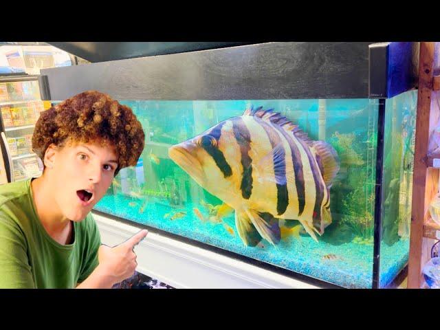 I Found PET STORE Filled with MONSTER FISH!