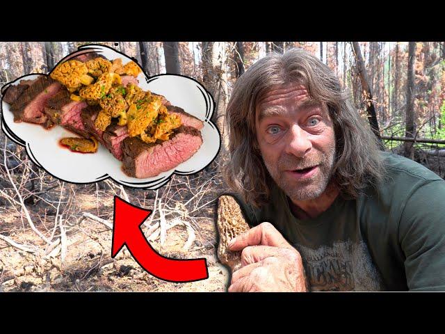 Catch and Cook Morel Mushrooms with Moose Roast While Glamping with Greg