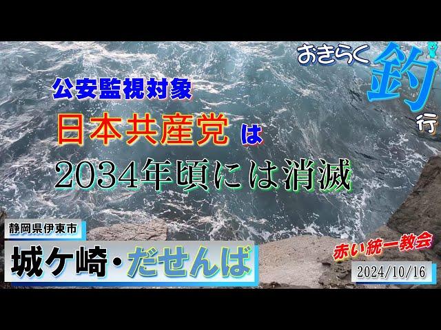 【#城ケ崎海岸・#だせんば】#おきらく釣行【2024/10/16前】