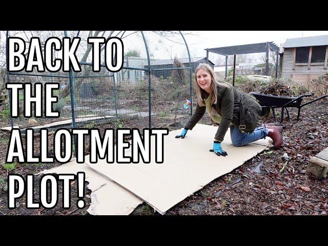 BACK TO THE ALLOTMENT PLOT! / ALLOTMENT GARDENING UK