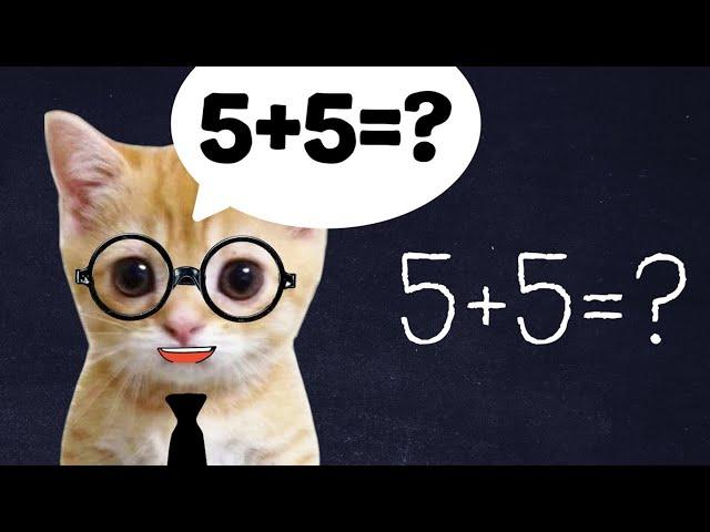 BABY CAT STUDENTS IN EXAM  (20min)