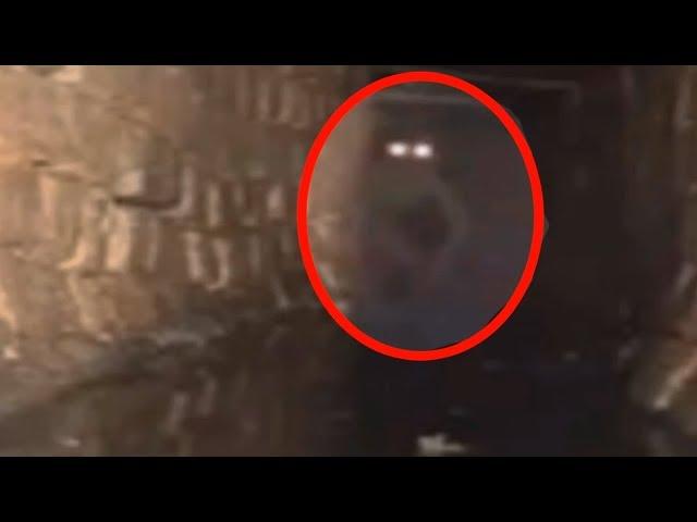 5 Mysterious Creatures Caught On Camera & Spotted In Real Life!