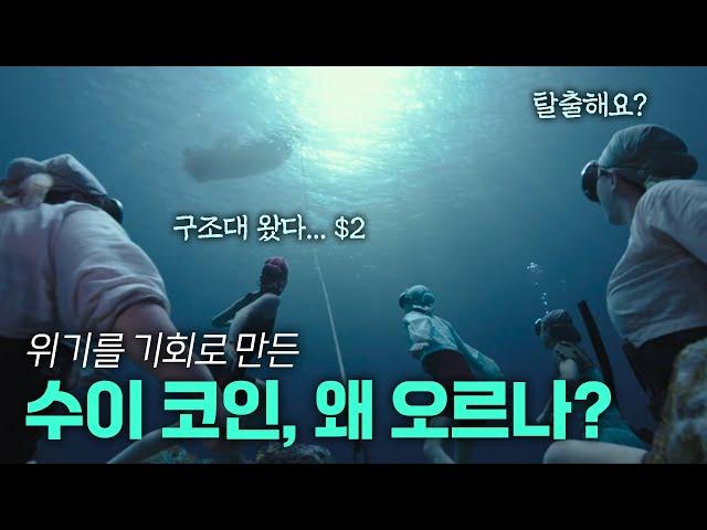 수이 코인, 5배 급등한 이유는? 비트코인 덕분에 위기를 기회로!