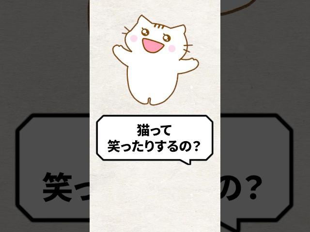 Q: Do cats laugh? #cat #catvideo #cat