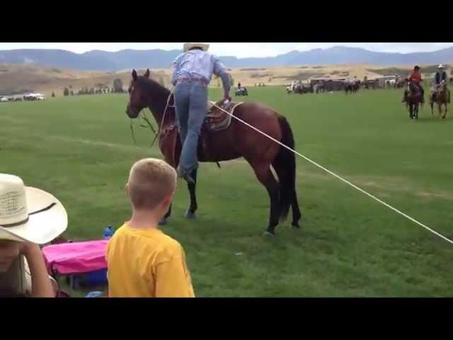 Steer Roping at Don King Days - Big Horn, WY