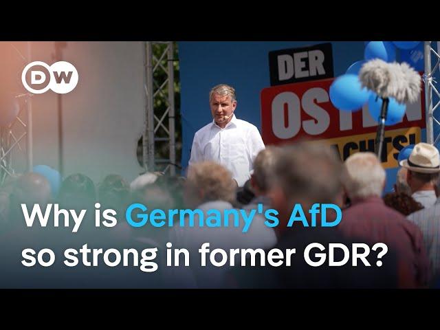 What makes eastern Germany so different with the far-right AfD? | DW News