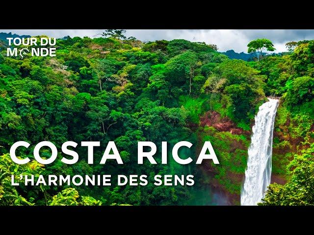 Costa Rica : Le joyau vert de l'Amérique Centrale - Biodiversité - Documentaire voyage - AMP