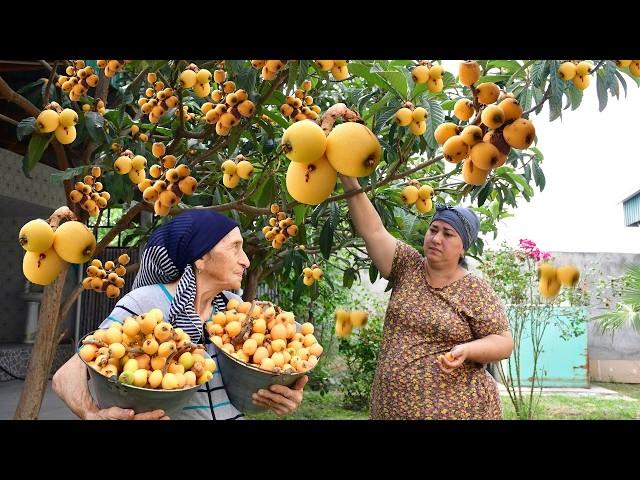 Golden Loquat Harvest! Making Natural and Delicious Fruit Juice