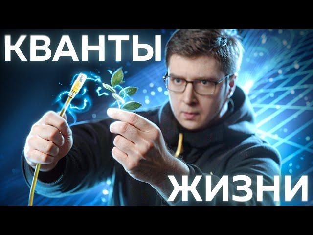 Невидимая связь всего живого | Безумные научные идеи #5