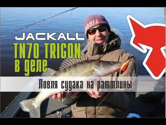 Ловля судака на раттлины. Jackall TN70 TRIGON в деле