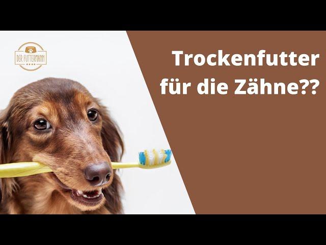 Trockenfutter ist NICHT gut für die Zähne | Der Futtermann #hundefutter #trockenfutter #dentastix