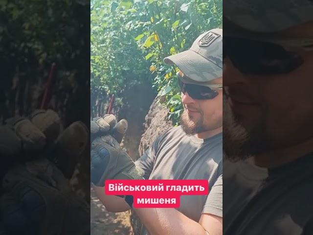 Військові люблять тварин #ukraine #зсу