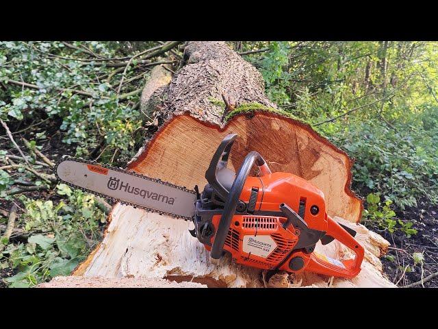 Husqvarna 545 Mark II In action 