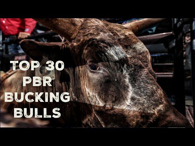 Top 30 PBR Bucking Bulls | ALL EPISODES