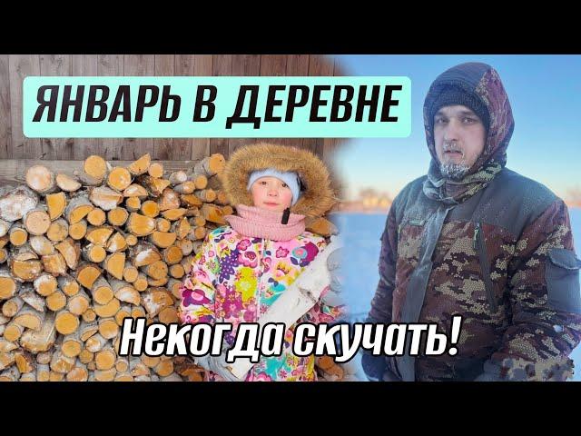 ПЕТУХИ С ЧЁРНЫМ МЯСОМ, ДРОВА, СНЕГ