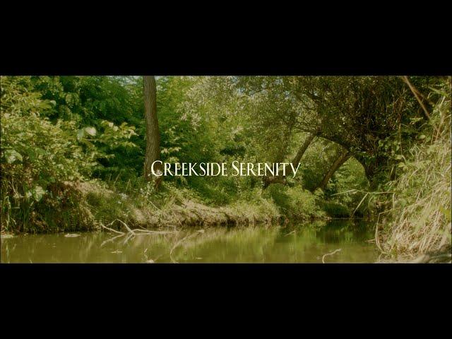 CREEKSIDE SERENITY (bmpcc-og "Arri look")