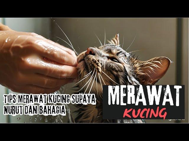 Cara Memandikan Kucing dengan Aman dan Nyaman