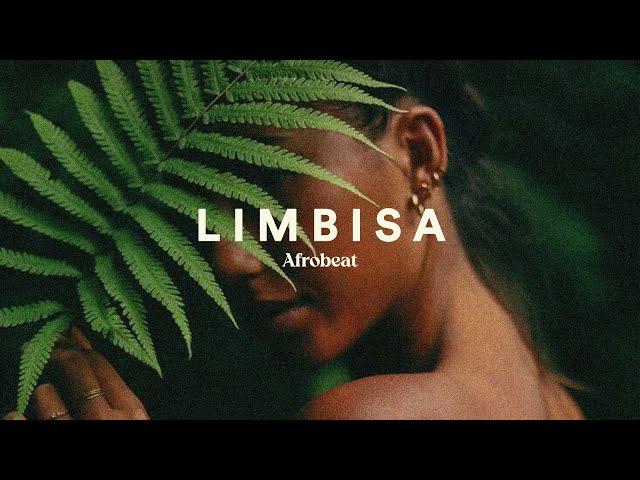 Afrobeat Type Beat x Dancehall Type Beat - Limbisa