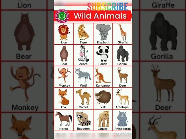 wild animals name | 20 wild animals name | 10 wild animals name