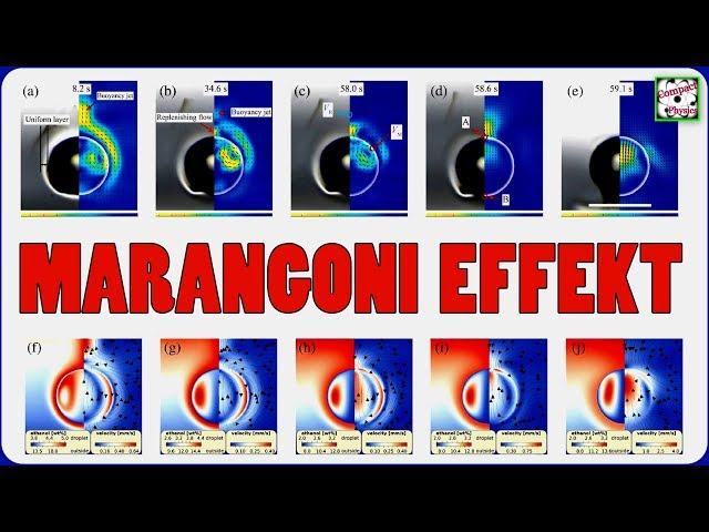 Der MARANGONI EFFEKT und seine Folgen [Compact Physics]