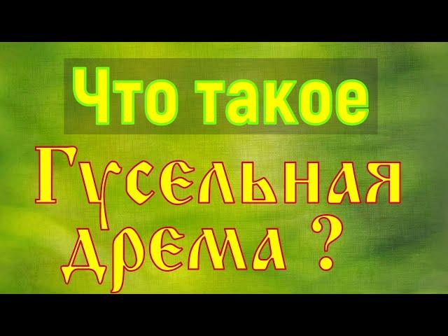 Что такое Гусельная Дрёма?